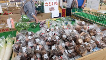 市原市の果物　梨（７月中旬～１０月中旬）