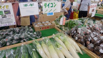 市原市の果物　梨（７月中旬～１０月中旬）