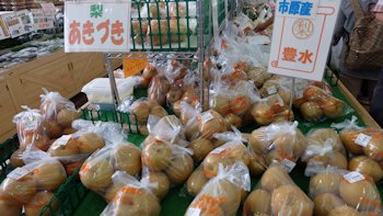 市原市の果物　梨（７月中旬～１０月中旬）