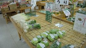 ＪＡ市原市直売所めぐり