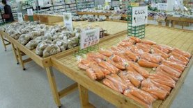 ＪＡ市原市直売所めぐり