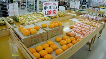 ＪＡ市原市直売所めぐり