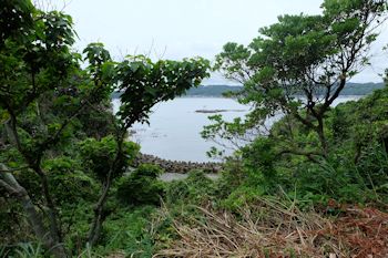 海が見える八幡岬公園