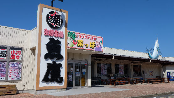 千葉県南房総市 生鮮市場　魚鷹（南房総道楽園内）