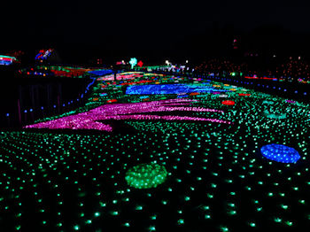 東京ドイツ村 イルミネーション