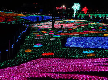 東京ドイツ村 イルミネーション