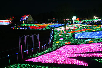 東京ドイツ村 イルミネーション
