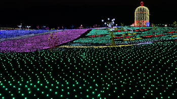 東京ドイツ村 イルミネーション