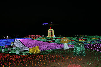 東京ドイツ村 イルミネーション