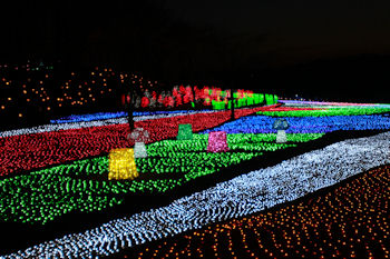 東京ドイツ村 イルミネーション