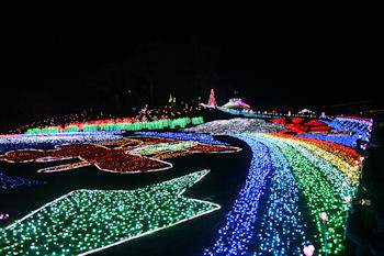 東京ドイツ村 イルミネーション