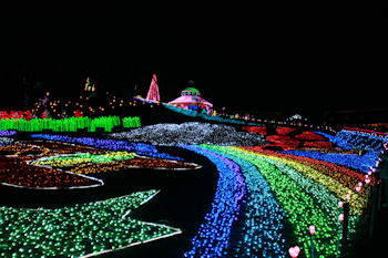 東京ドイツ村 イルミネーション