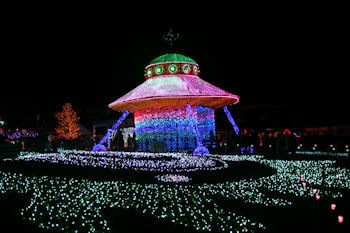 東京ドイツ村 イルミネーション