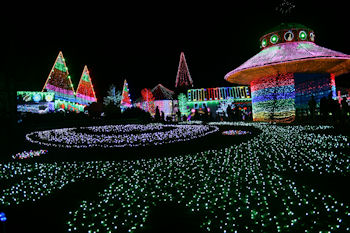 東京ドイツ村 イルミネーション