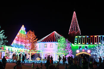 東京ドイツ村 イルミネーション