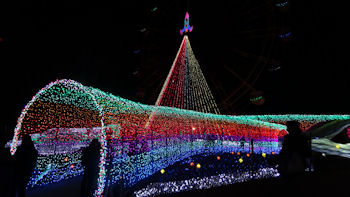 東京ドイツ村 イルミネーション
