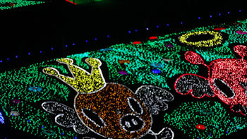 東京ドイツ村 イルミネーション