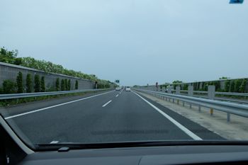 マザー牧場へ行こう!