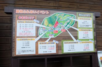 マザー牧場 動物