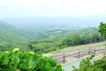 マザー牧場のバーベキュー写真