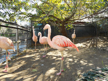 養老渓谷の紅葉と温泉の旅へレンタカーで出発