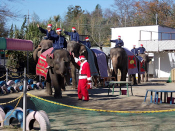 養老渓谷の紅葉と温泉の旅へレンタカーで出発