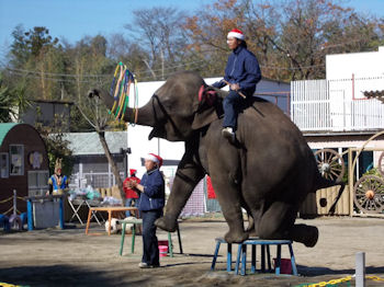 養老渓谷の紅葉と温泉の旅へレンタカーで出発