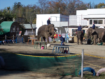 養老渓谷の紅葉と温泉の旅へレンタカーで出発