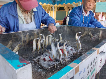 養老渓谷ハイキングコースのバンガロー村・弘文洞跡ルート