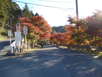 養老渓谷ハイキングコースのバンガロー村・弘文洞跡ルート