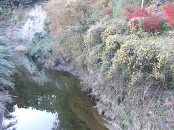 養老渓谷ハイキングコースのバンガロー村・弘文洞跡ルート