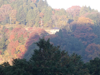 養老渓谷,粟又の滝,あわまたのたき,紅葉