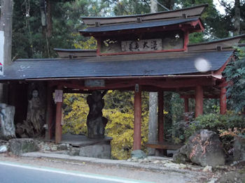 養老渓谷,粟又の滝,あわまたのたき,紅葉