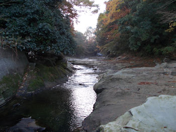 養老渓谷,粟又の滝,あわまたのたき,紅葉