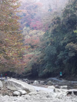 養老渓谷,粟又の滝,あわまたのたき,紅葉