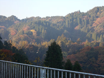 養老渓谷,粟又の滝,あわまたのたき,紅葉