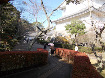 養老渓谷,紅葉・温泉旅行,帰り道