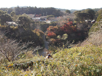 養老渓谷,紅葉,ハイキング