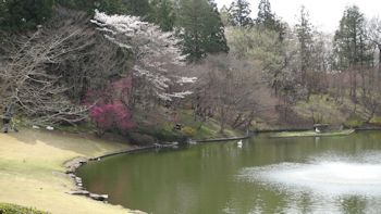 DIC川村記念美術館