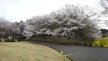 DIC川村記念美術館