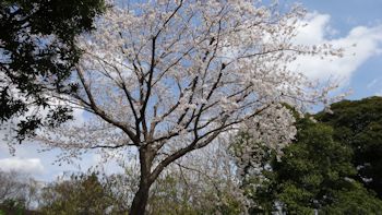 くらしの植物園