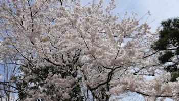 くらしの植物園