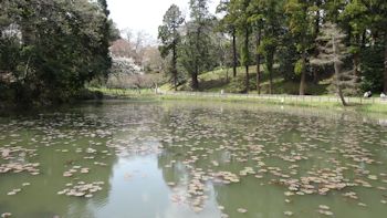 佐倉城址公園