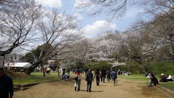 佐倉城址公園