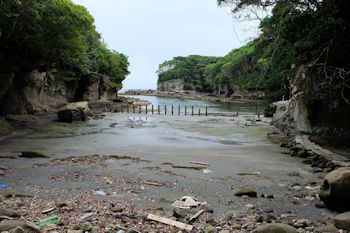 鵜原理想郷_海岸