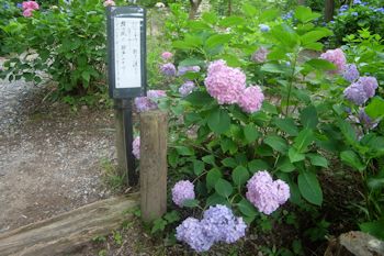 花野辺の里_短歌