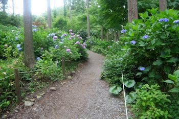 花野辺の里