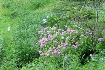 花野辺の里