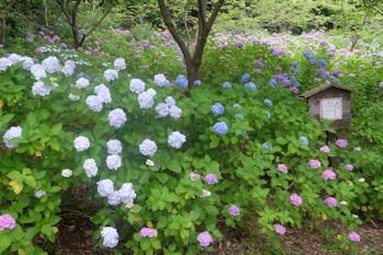 花野辺の里