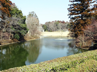 千葉県内の観光なら、千葉県佐倉市の美術館・博物館巡り。レンタカー日帰り旅行体験記